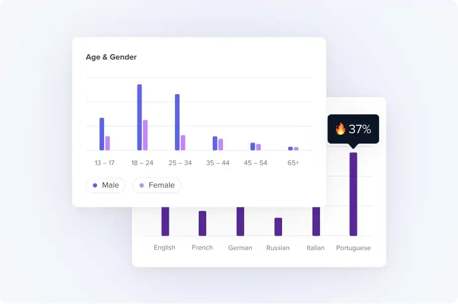 HypeAuditor vendor report image with audience age-and-gender bars and a language distribution chart